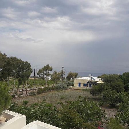 Cosy Studio In Santorini Exo Gonia ภายนอก รูปภาพ